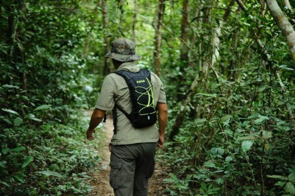 Khlong Sok: Khao Sok Waterfalls and Wildlife Half-Day Trek - Customer Feedback and Ratings