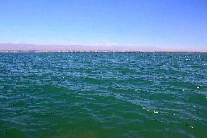 Khujand Private Day Tour from Tashkent - The Sum Up