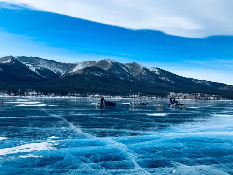 Khuvsgul Lake & Tsaatan Reindeer Herders Tour - Discovering Mongolia’s Northern Wilderness: A Review of the Khuvsgul Lake & Tsaatan Reindeer Herders Tour