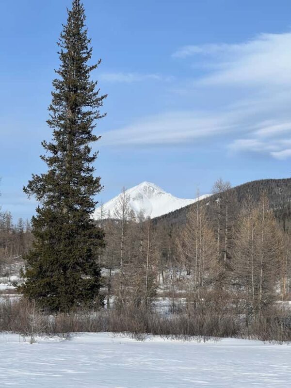 Khuvsgul Lake & Tsaatan Reindeer Herders Tour - Transportation & Group Size