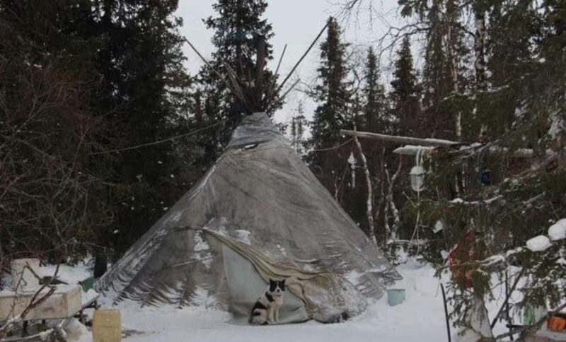 Khuvsgul Lake & Tsaatan Reindeer Herders Tour - Accommodation & Meals