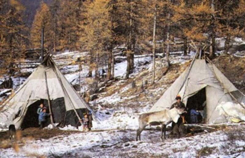 Khuvsgul Lake & Tsaatan Reindeer Herders Tour - Authentic Cultural Encounters