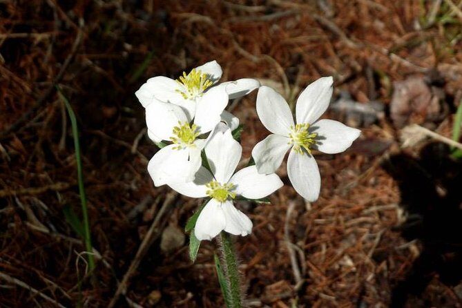 Khuwsgul (known as blue pearl sweet lake)-Central Mongolia 10days - The Sum Up