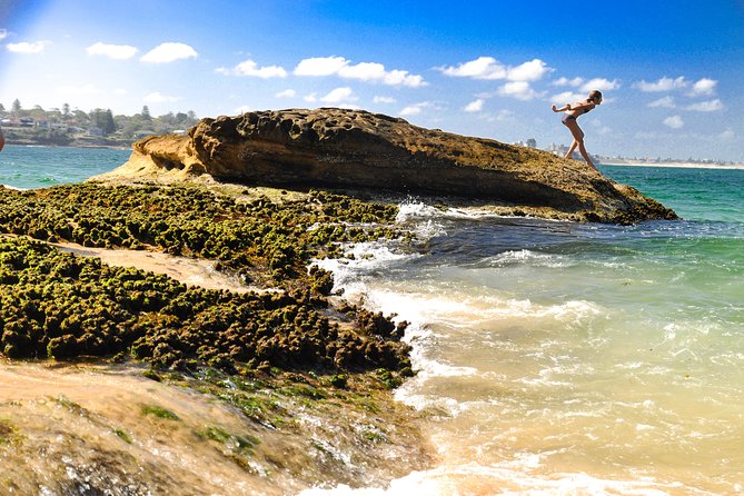 Kiama Blowhole, Beaches & Bushwalks- Escape the City - Kiama Blowhole: Natural Wonder