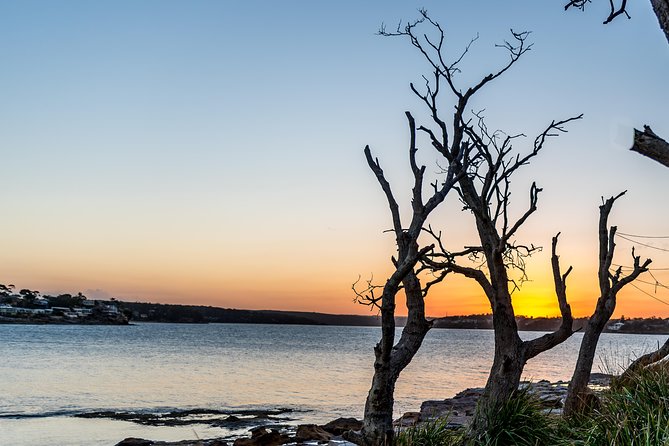 Kiama Blowhole, Beaches & Bushwalks- Escape the City - Terrys Guided Tour: Local Expertise