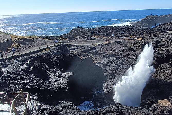 Kiama Blowhole, Beaches & Bushwalks- Escape the City - Customer Reviews: Rave Recommendations