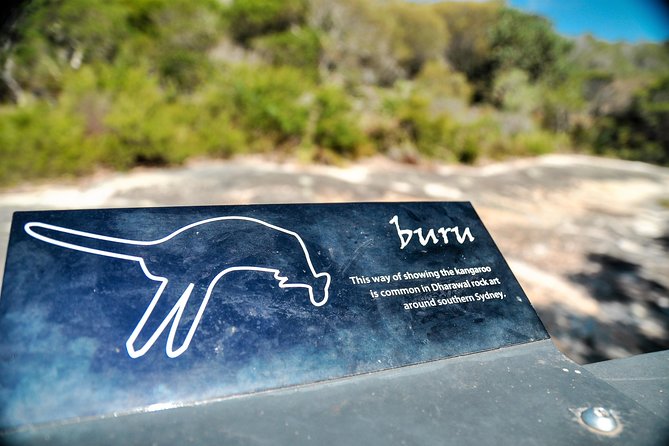 Kiama Blowhole, Beaches & Bushwalks- Escape the City - Booking and Information: Plan Your Escape