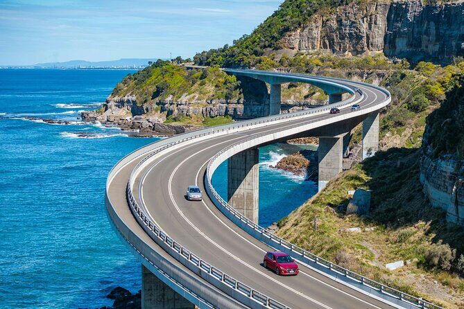 Kiama & Kangaroos - Sydney South Coast Escape - Good To Know