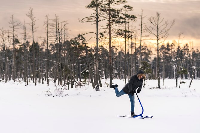 Kicksledding on Snowy Forest Roads and Frozen Lakes in Riga - Activity Overview