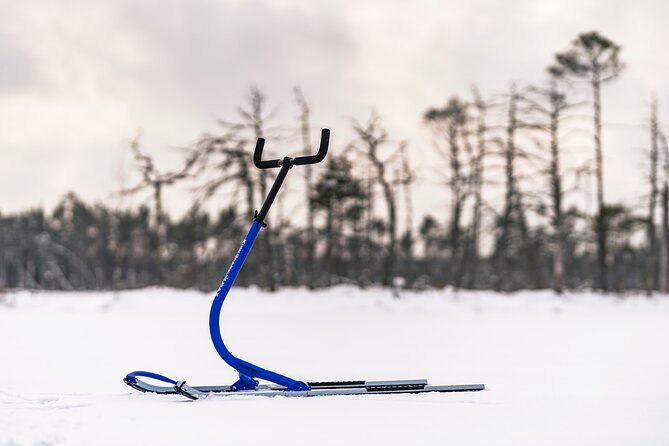 Kicksledding on Snowy Forest Roads and Frozen Lakes in Riga - Inclusions and Exclusions