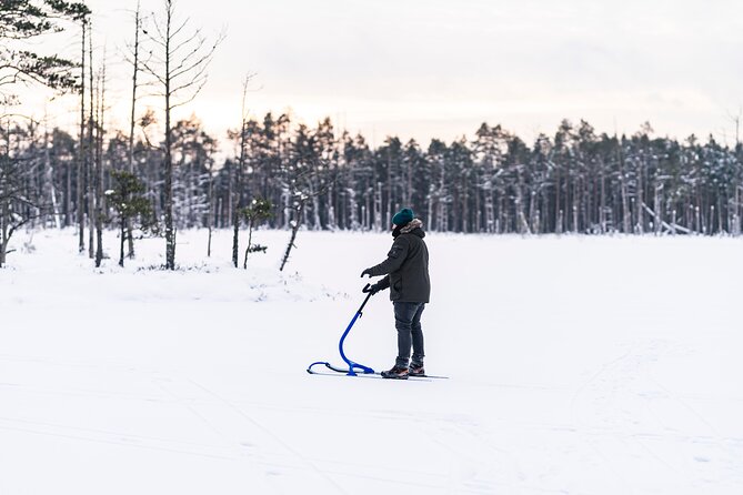 Kicksledding on Snowy Forest Roads and Frozen Lakes in Riga - Booking Details