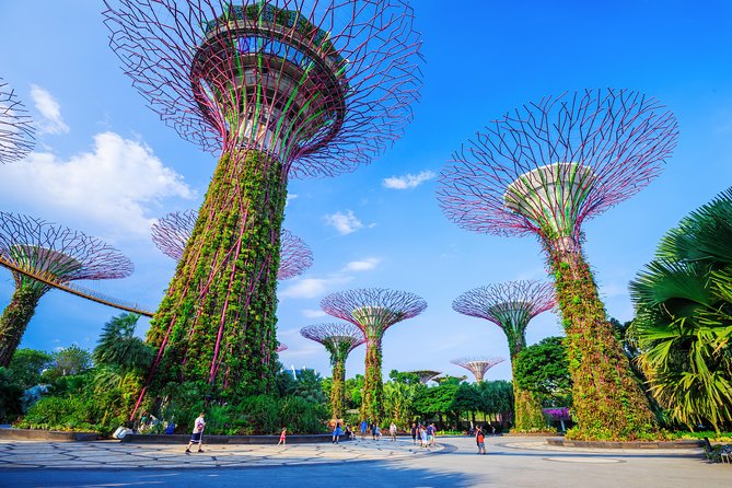 Kickstart Your Trip To Singapore With A Local: Private & Personalized - Capture Memories With a Professional Photographer