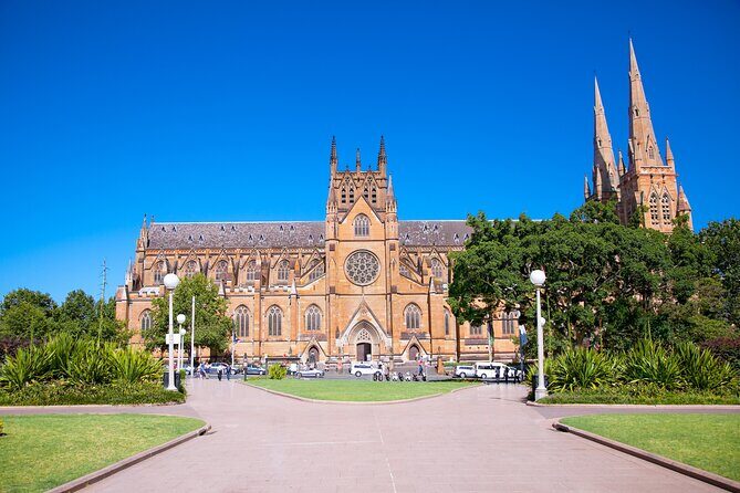 Kid-Friendly Sydney City Private Guided Tour for Families - What Makes This Tour Stand Out?