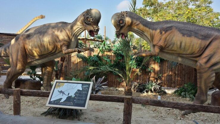 KIDS DAY / DINOSAURIA PARK – AQUARIUM – THE WATERPARK - Good To Know