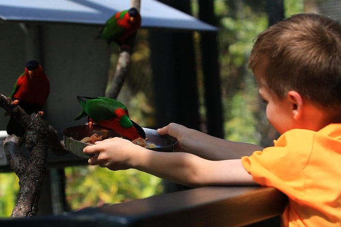 Kids Park Ranger for a Day - Becoming a Park Ranger