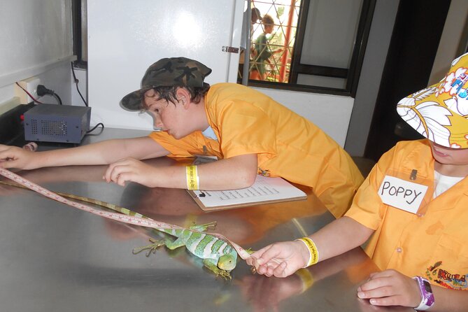 Kids Park Ranger for a Day - Coral and Fish Displays