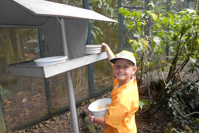 Kids Park Ranger for a Day - Hand-Feeding Kula Collared Lories