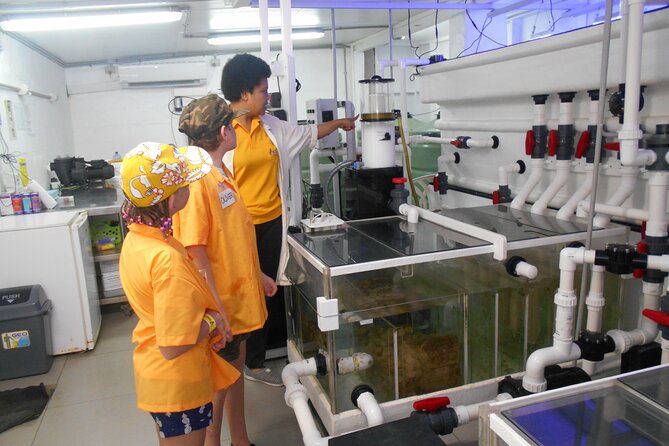 Kids Park Ranger for a Day - Health Checks on Rare Iguanas