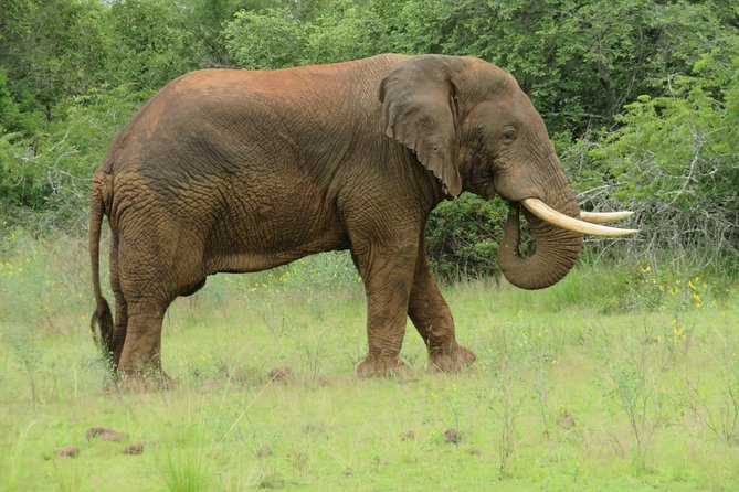 Kigali to Akagera National Park Round Trip Private Transfer. Rwanda - Pickup Details