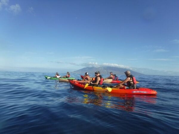 Kihei: Kayaking, Snorkeling, and Surfing Combo Experience - Directions to Kayaking Meeting Point