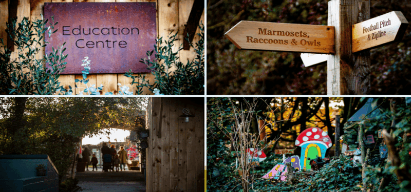 Kildare: Clonfert Farm General Admission Ticket - Good To Know