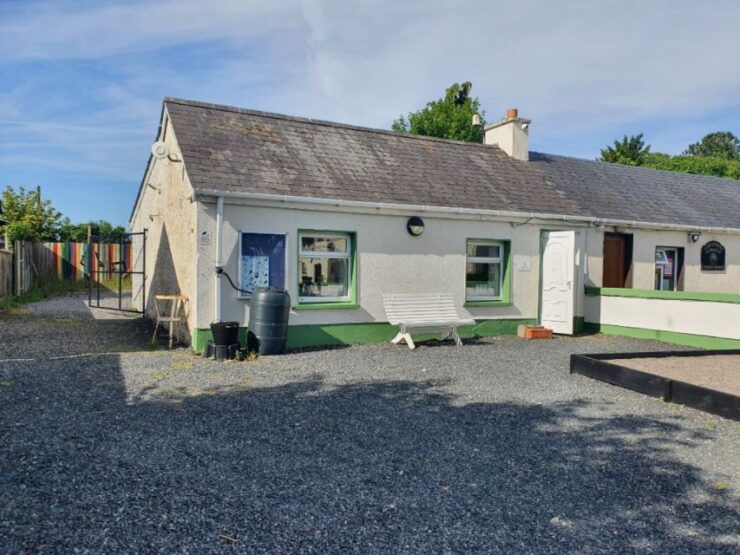 Kildare: Eco-Printing on Paper Natural Dye Workshop - Activity Details