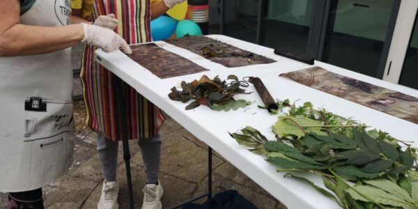 Kildare: Eco-Printing on Paper Natural Dye Workshop - Location