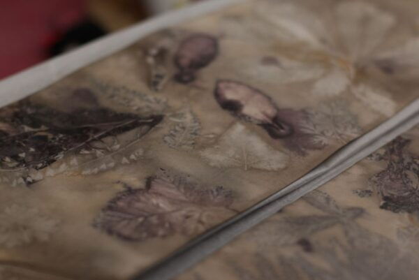 Kildare: Eco-Printing on Paper Natural Dye Workshop - Common Questions