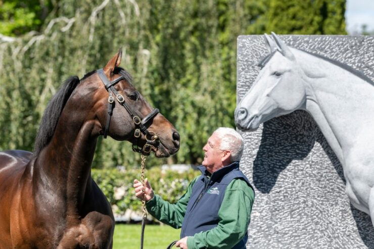 Kildare: Irish National Stud & Gardens - Ticket Information