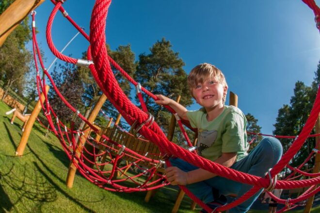 Kildare: Irish National Stud & Gardens - Full Description of the Experience