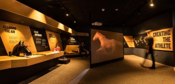 Kildare: Irish National Stud & Gardens - The Sum Up and Best Time to Visit