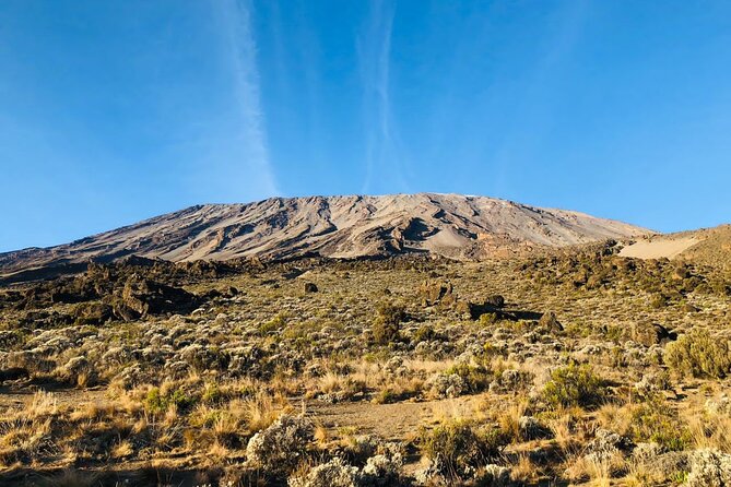 Kilimanjaro 8 Days Lemosho Route - Additional Information