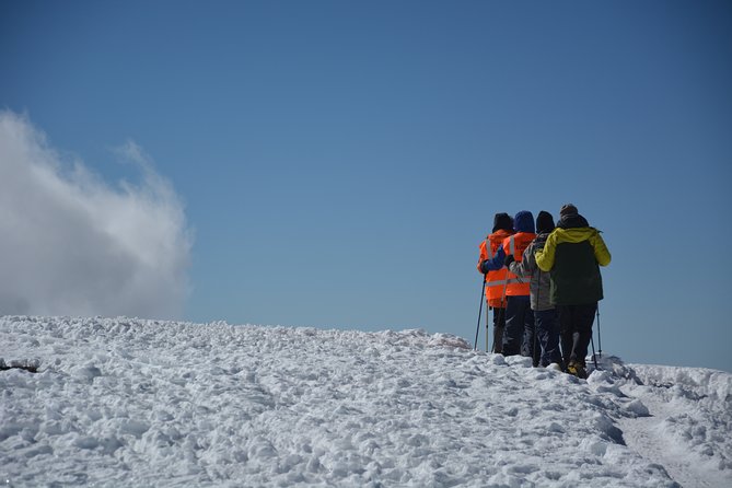 Kilimanjaro Climbing Rongai Route - Price, Availability, and Reviews