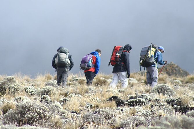 Kilimanjaro Climbing Via Machame Route 6 Days - Fitness and Recommendations