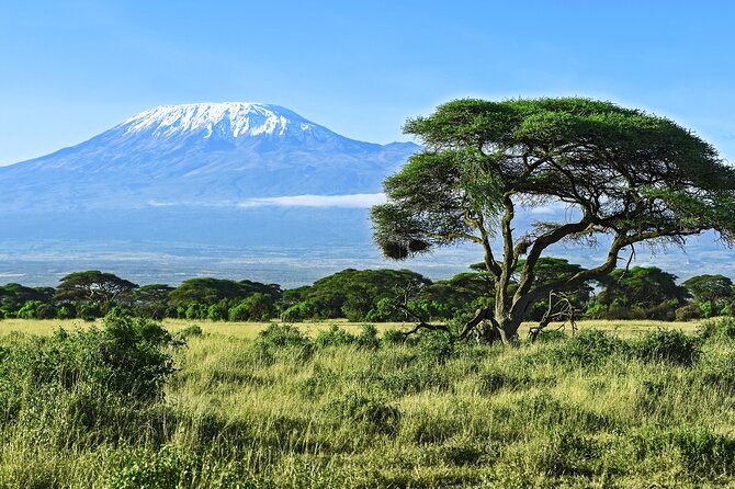 Kilimanjaro Day Hike Marangu Route - Booking Confirmation