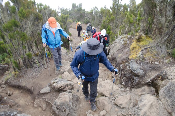 Kilimanjaro Lemosho Route 7 Days - Safety Precautions