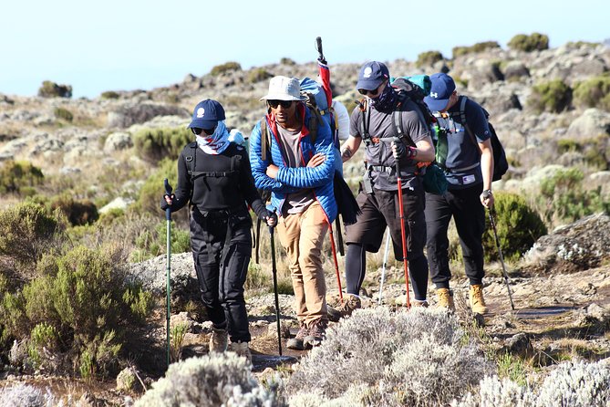 Kilimanjaro Machame Route 7 Days - Day 2: Machame Camp to Shira Camp