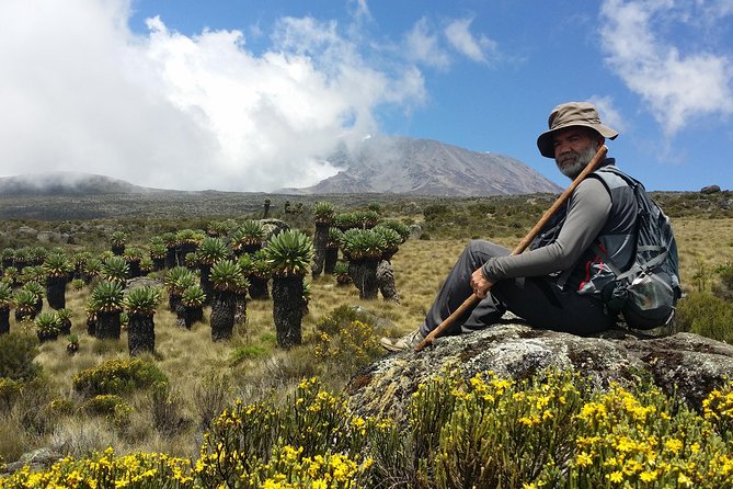 Kilimanjaro Marangu Route Day Tour - What to Expect