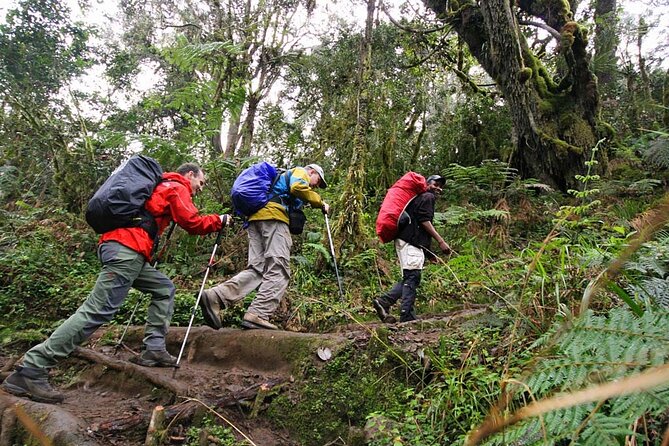 Kilimanjaro Private 2 Days Hiking Tour - Inclusions and Exclusions