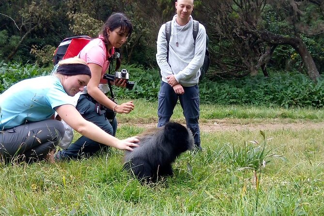 Kilimanjaro Private 2 Days Hiking Tour - Price and Guarantee