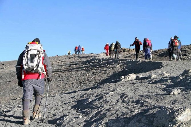 Kilimanjaro Rongai Route 5 Days Trekking - Good To Know