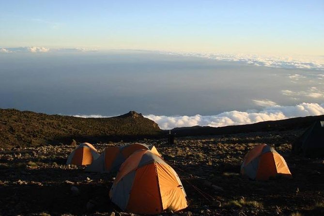 Kilimanjaro Rongai Route 5 Days Trekking - Important Health and Fitness Considerations