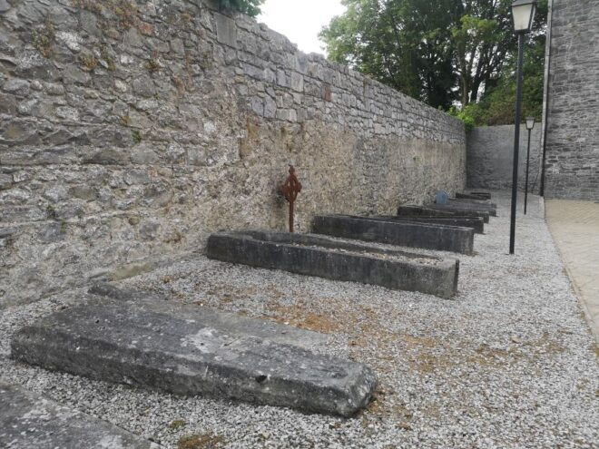 Kilkenny: Historical Highlights Walking Tour - Inclusions