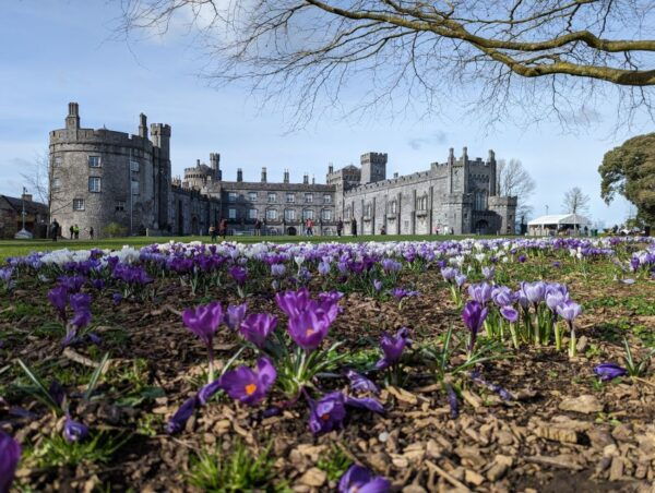 Kilkenny: Historical Highlights Walking Tour - Customer Reviews