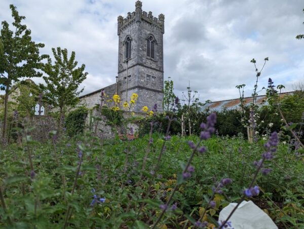 Kilkenny: Historical Highlights Walking Tour - The Sum Up