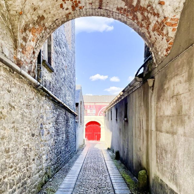 Kilkenny Self-Guided Walk: Shenanigans Medieval Adventure - Full Description