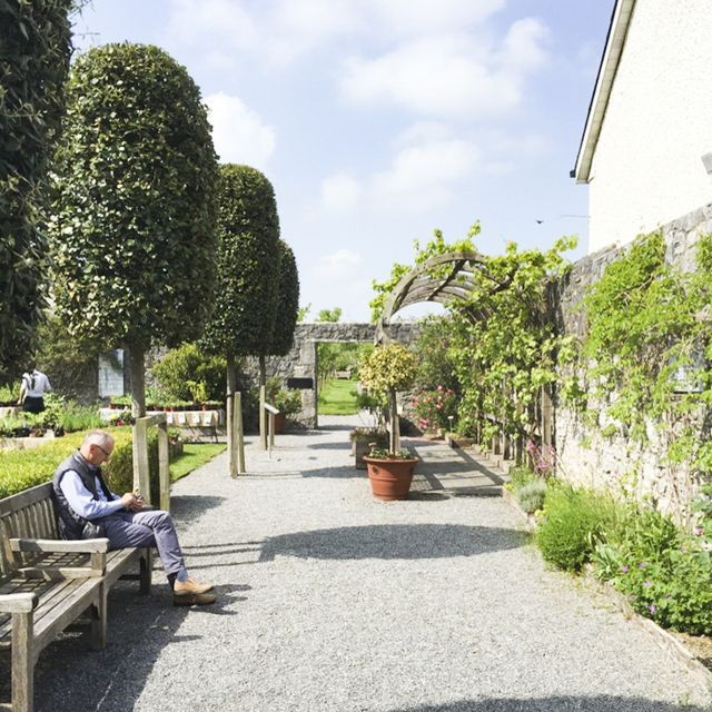 Kilkenny Self-Guided Walk: Shenanigans Medieval Adventure - Directions to Meeting Point