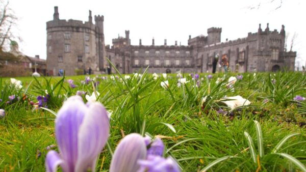 Kilkenny Self-Guided Walk: Shenanigans Medieval Adventure - Common Questions