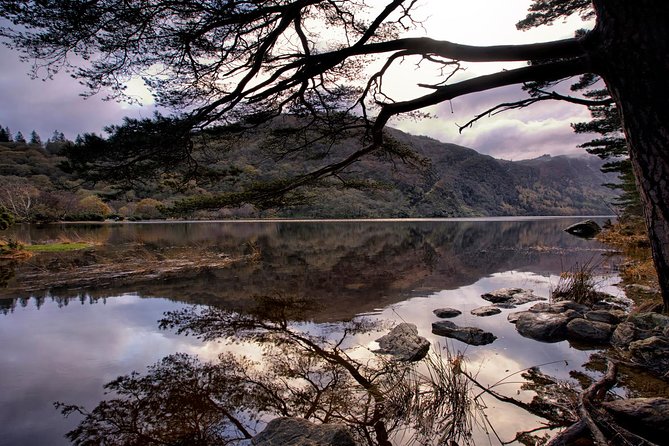 Kilkenny, Wicklow Mountains, Glendalough, Sheep Dog Trials, Day Trip From Dublin - More Information About Cancellations