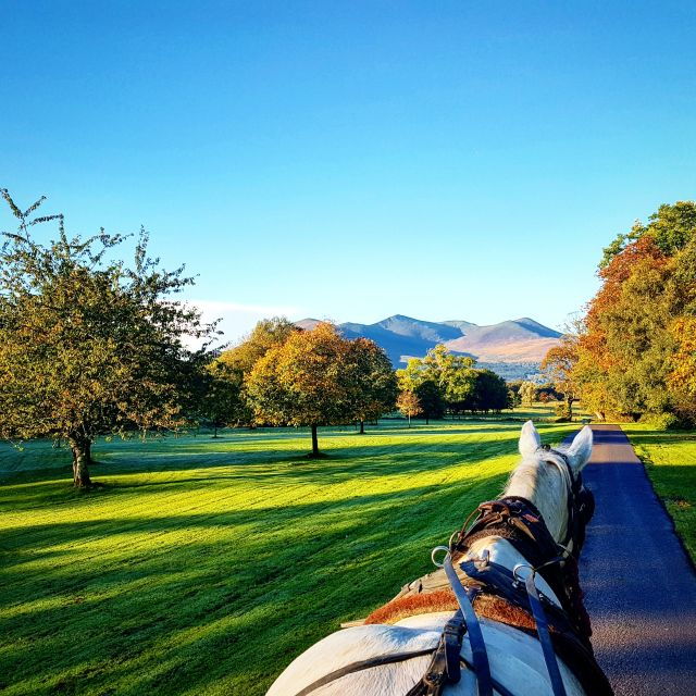 Killarney: 1-Hour Jaunting Car Horse and Carriage Tour - Scenic Highlights and Stops